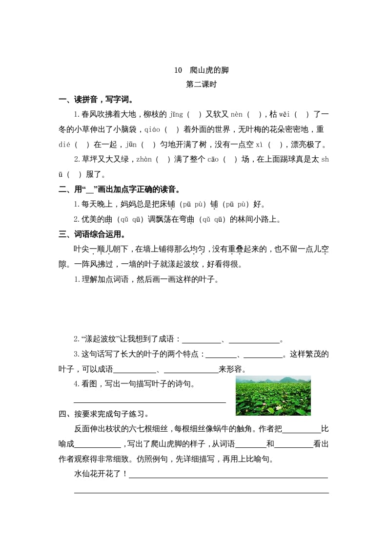 图片[3]-四年级语文上册10爬山虎的脚-云锋学科网