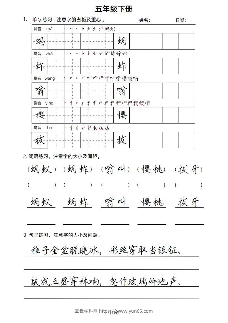 图片[2]-5年级下楷书-云锋学科网