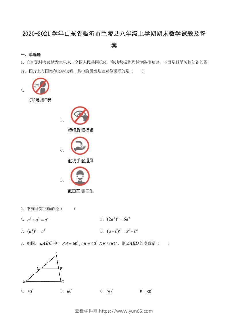 2020-2021学年山东省临沂市兰陵县八年级上学期期末数学试题及答案(Word版)-云锋学科网