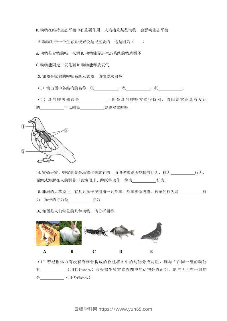 图片[3]-2020-2021学年湖北省黄冈市红安县八年级上学期期中生物试题及答案(Word版)-云锋学科网