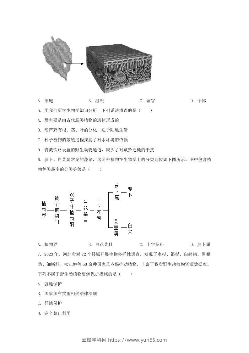 图片[2]-2024年河北邢台中考生物试题及答案(Word版)-云锋学科网