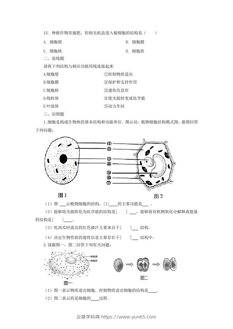 图片[3]-七年级上册生物第二单元第一章第四节试卷及答案(Word版)-云锋学科网