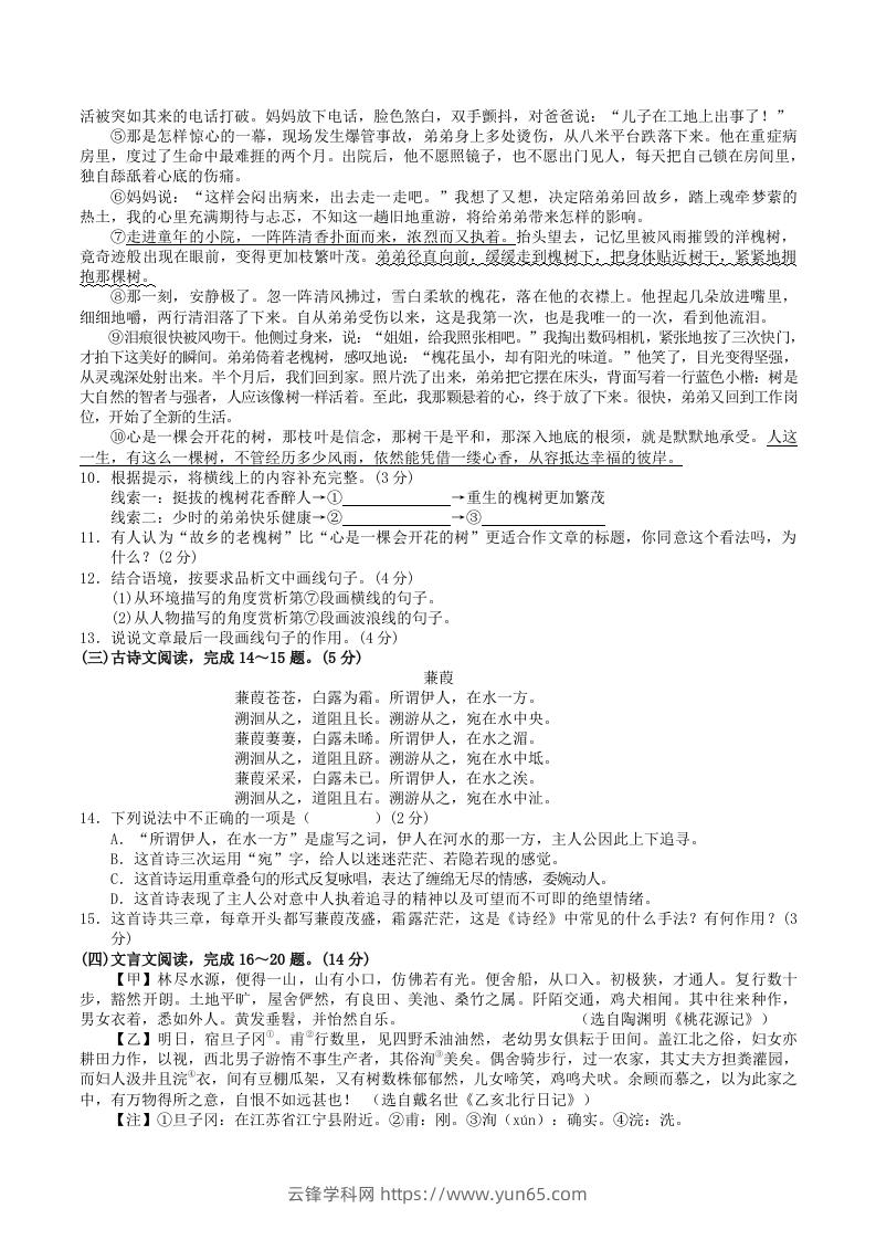 图片[3]-2023-2024学年广西河池市宜州区八年级下学期期中语文试题及答案(Word版)-云锋学科网