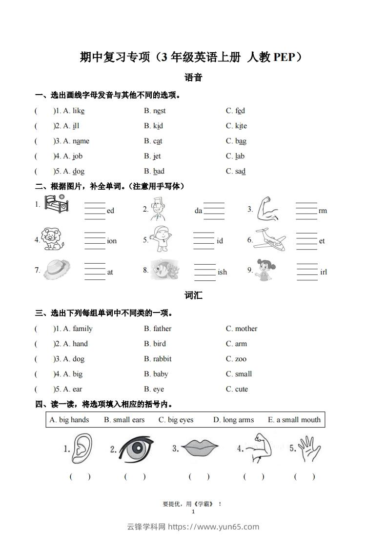 期中复习专项（三上英语人教版）-云锋学科网