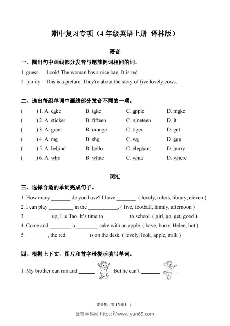 期中复习专项（四上英语译林版）-云锋学科网